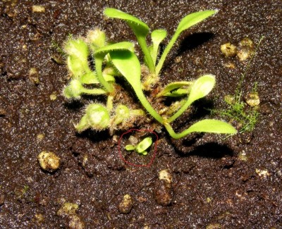 DSCF2591.JPG