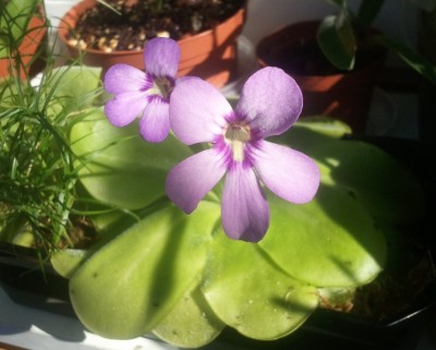 2012-07-28 09.22.37.jpg
