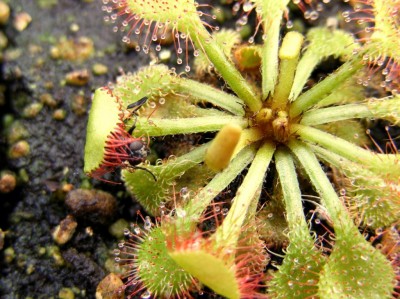 DSCF6719.JPG