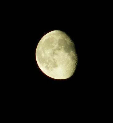 DSCF8253.JPG