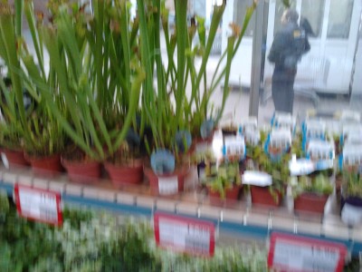 2013-11-11 12.01.20.jpg