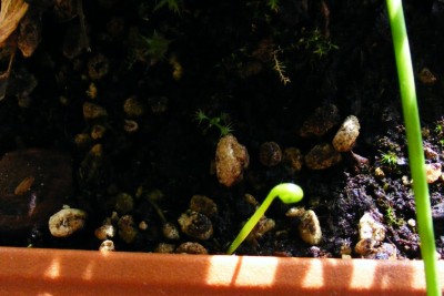 DSCF3817.JPG