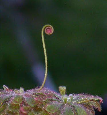 DSCF1748.JPG