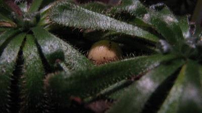IMG_8291.JPG