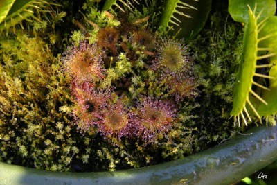 DSCF8841.JPG