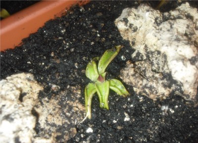 DSCF4934.JPG