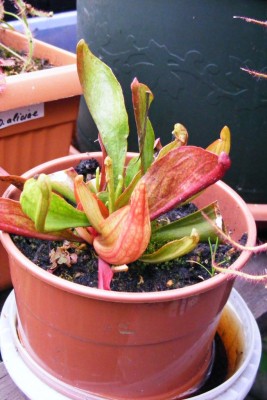 DSCF7297.JPG