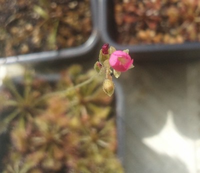 2012-07-28 11.33.37.jpg