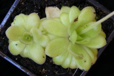 DSCF7919.JPG