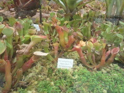 2013-04-06 14.00.38.jpg